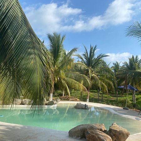 Casa Las Palmas Playa La Saladita Zihuatanejo Dış mekan fotoğraf
