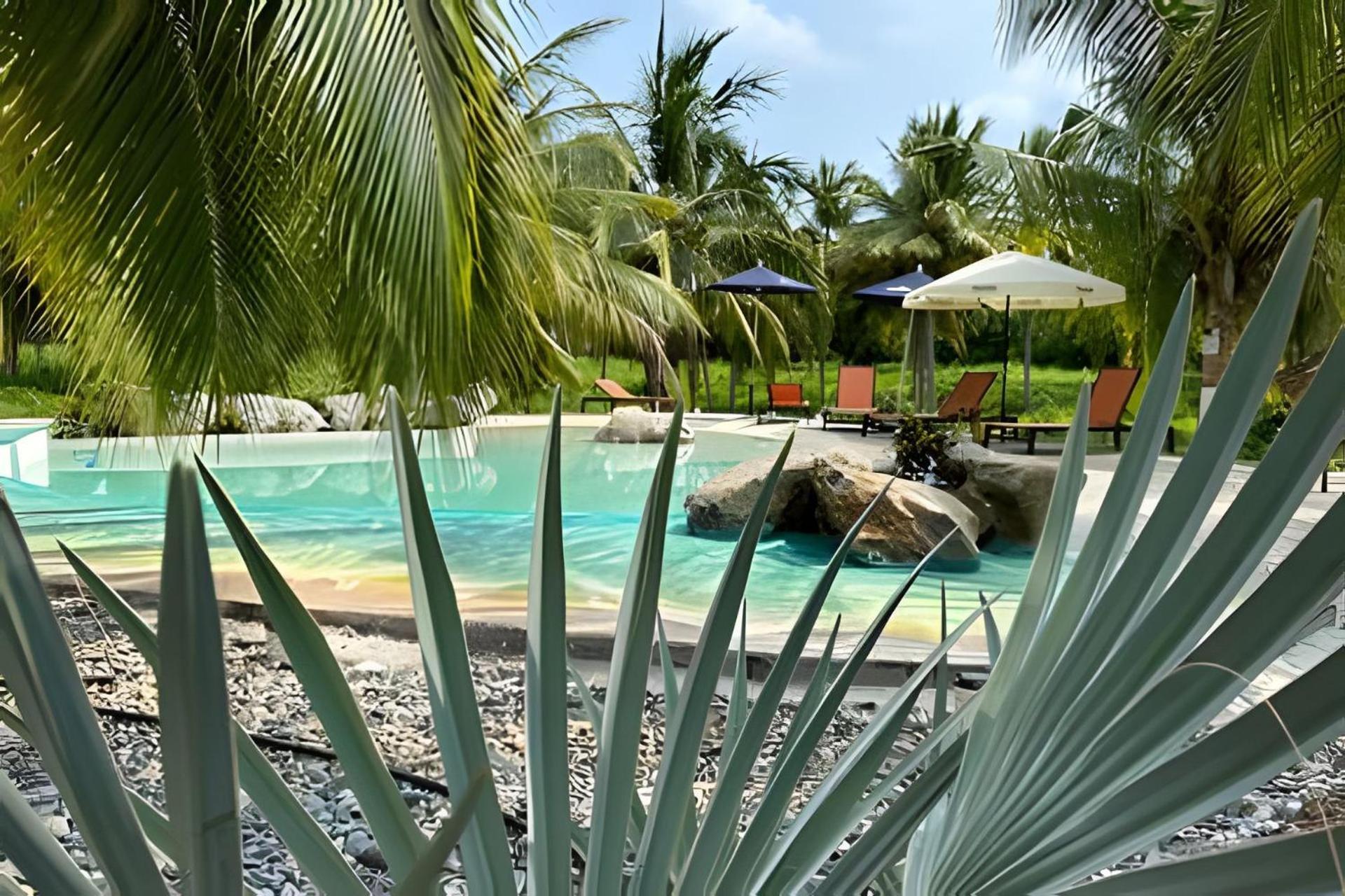Casa Las Palmas Playa La Saladita Zihuatanejo Dış mekan fotoğraf
