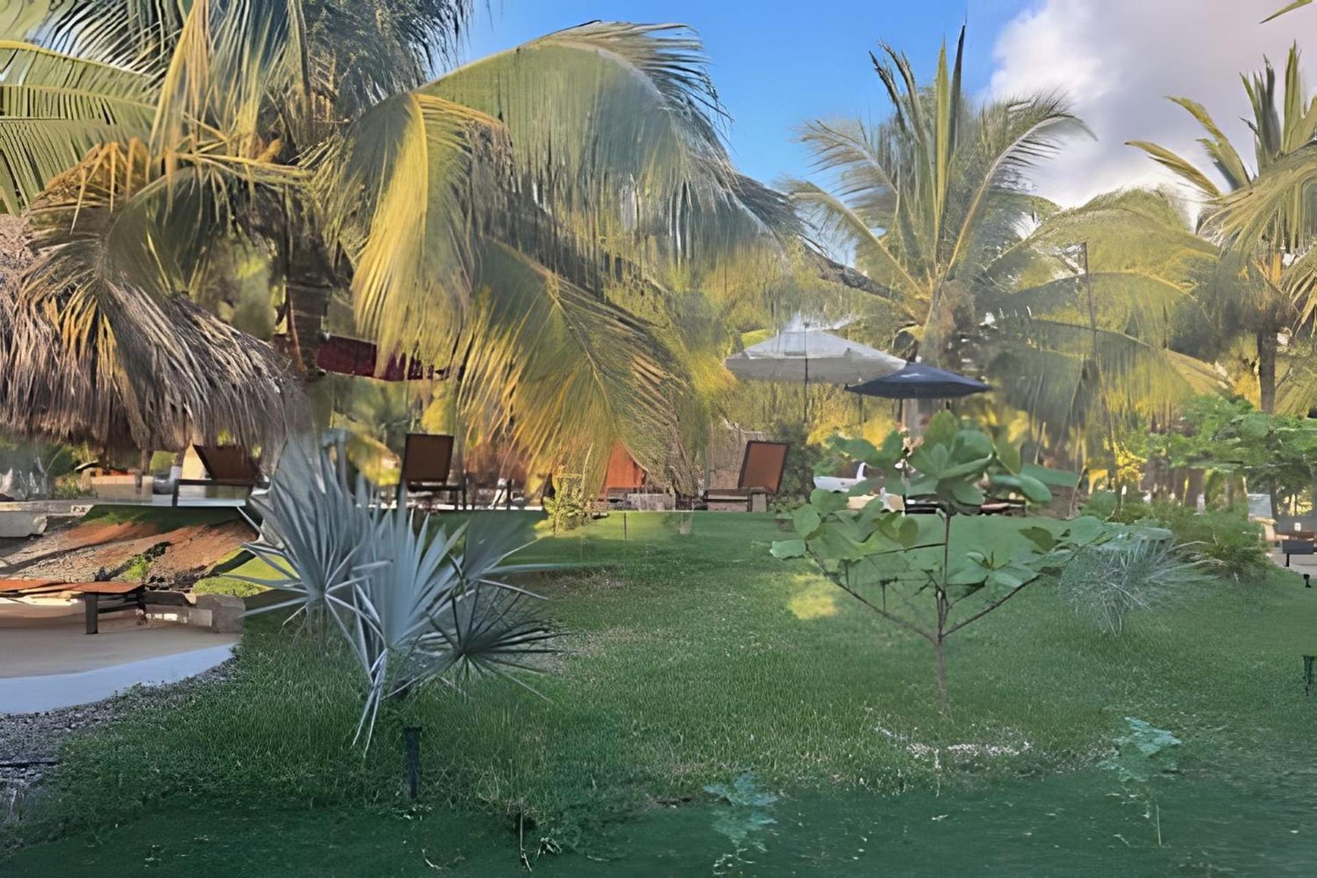 Casa Las Palmas Playa La Saladita Zihuatanejo Dış mekan fotoğraf