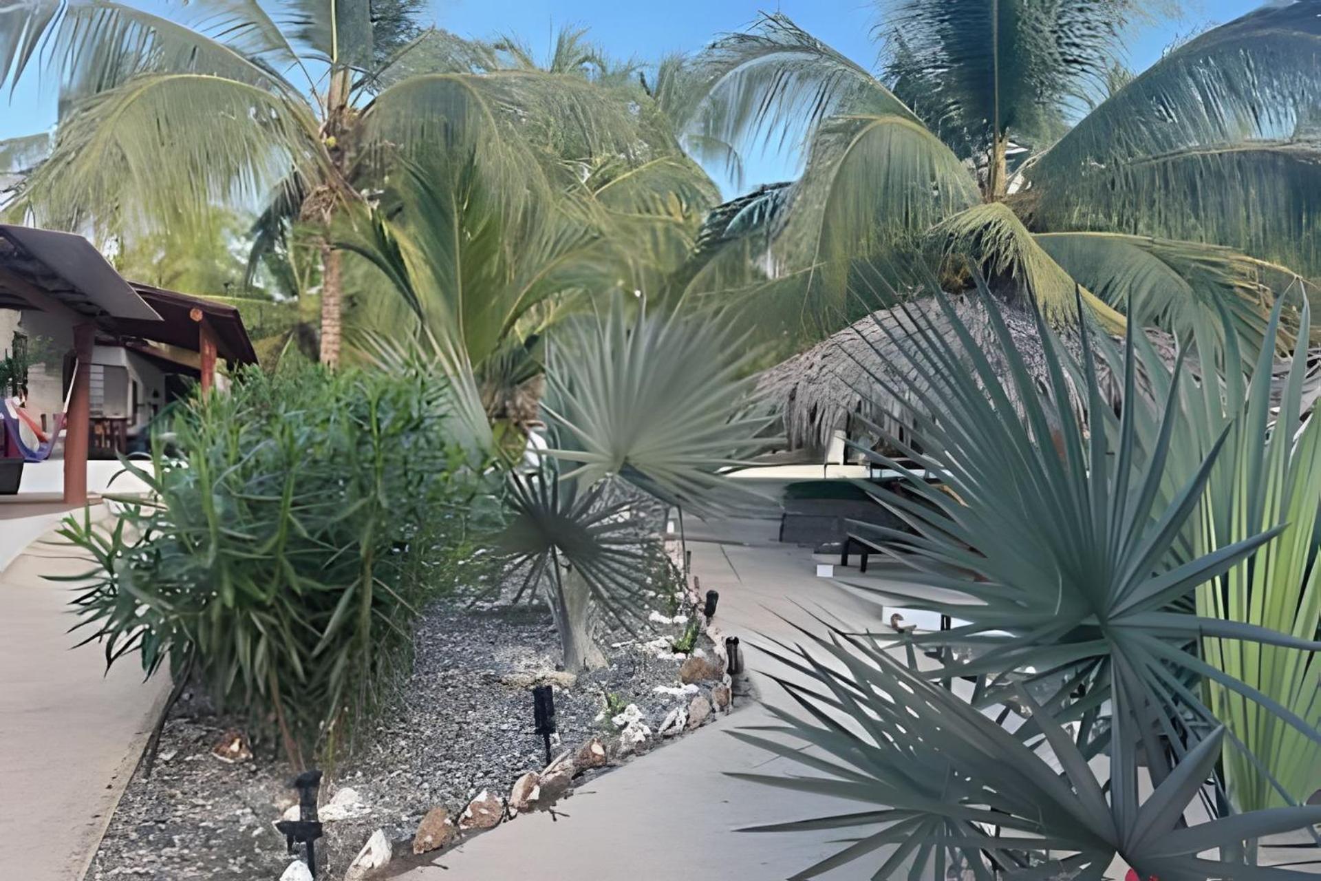 Casa Las Palmas Playa La Saladita Zihuatanejo Dış mekan fotoğraf
