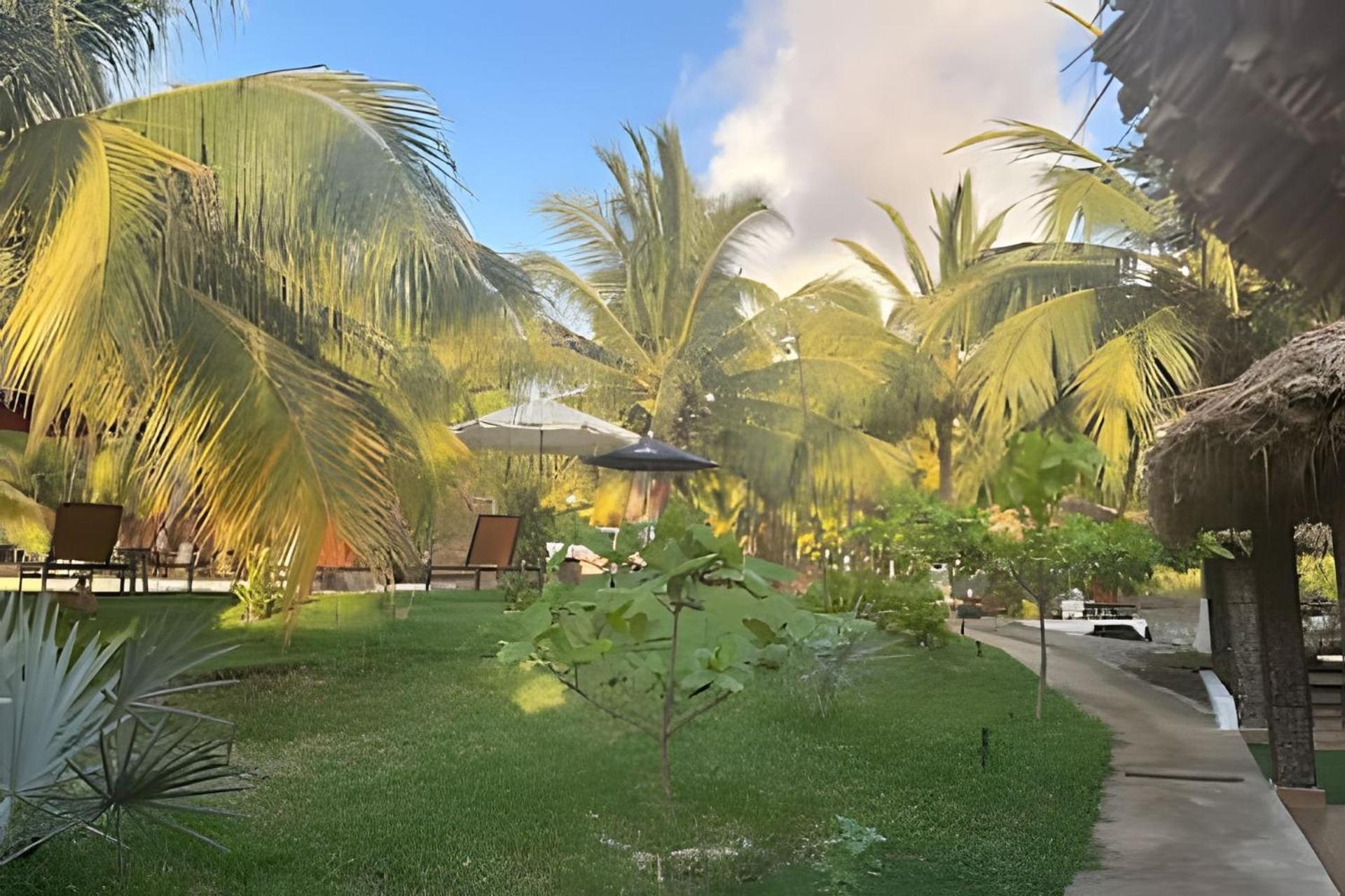 Casa Las Palmas Playa La Saladita Zihuatanejo Dış mekan fotoğraf