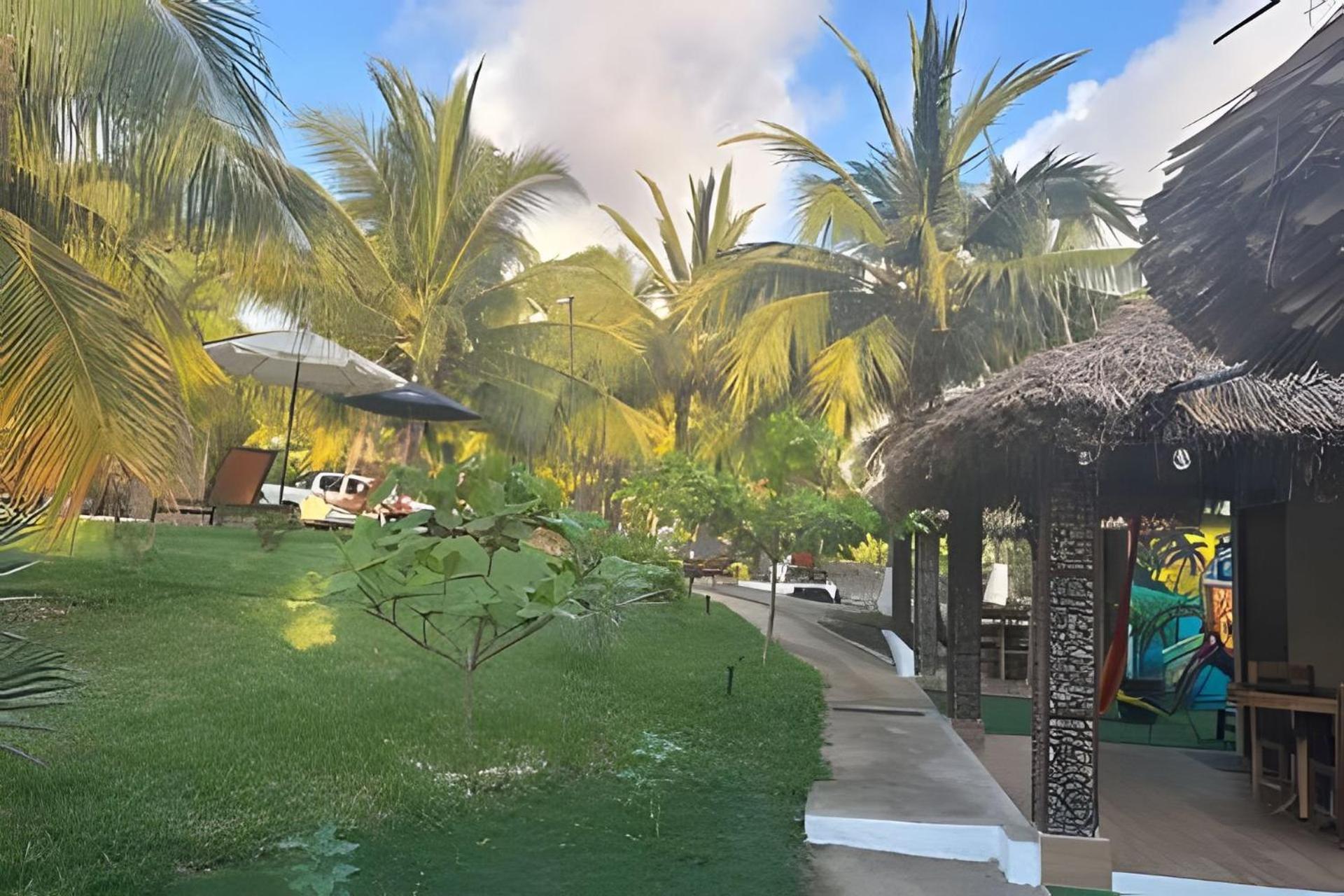 Casa Las Palmas Playa La Saladita Zihuatanejo Dış mekan fotoğraf
