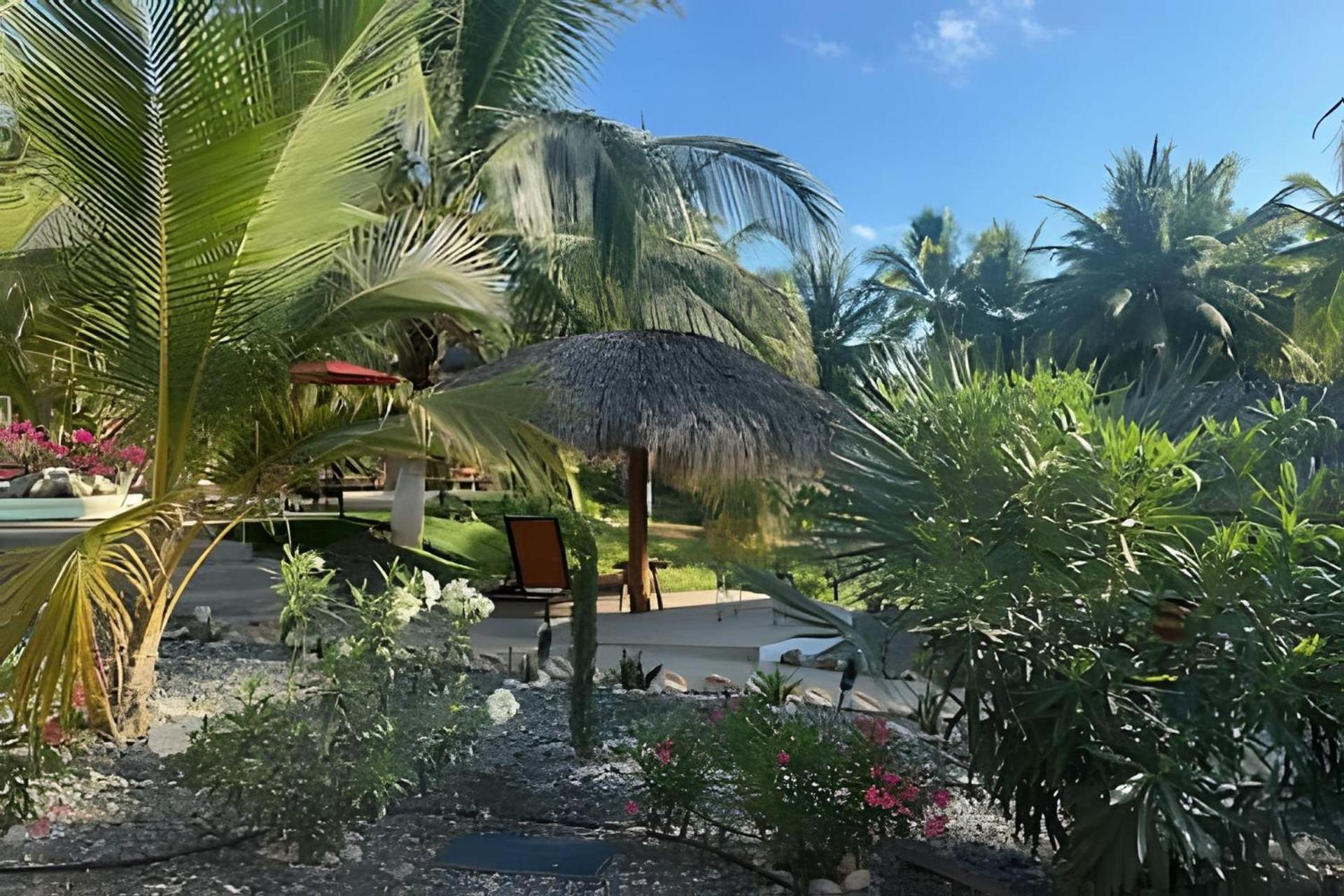 Casa Las Palmas Playa La Saladita Zihuatanejo Dış mekan fotoğraf
