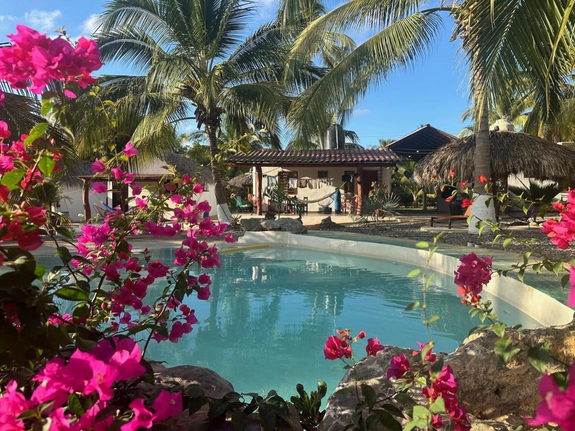Casa Las Palmas Playa La Saladita Zihuatanejo Dış mekan fotoğraf