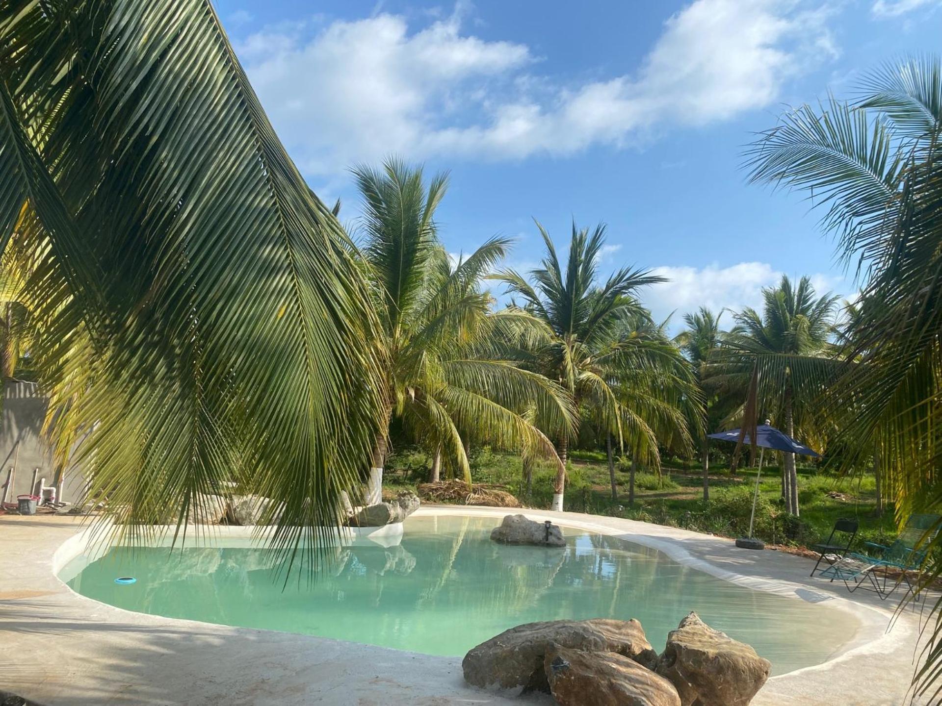 Casa Las Palmas Playa La Saladita Zihuatanejo Dış mekan fotoğraf
